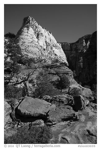 Deertrap Mountain, early morning. Zion National Park (black and white)