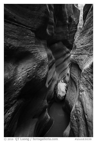 Red Keyhole Canyon walls and white stone. Zion National Park (black and white)