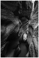 Red Keyhole Canyon walls and white stone. Zion National Park ( black and white)