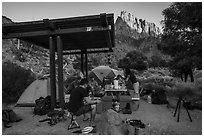 Campsite and Watchman at sunset. Zion National Park ( black and white)