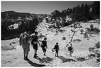 Hikers on slabs in Russell Gulch. Zion National Park ( black and white)