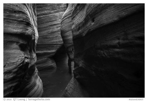 Greenish rock walls, Upper Left Fork. Zion National Park (black and white)