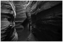 Greenish rock walls, Upper Left Fork. Zion National Park ( black and white)