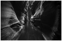 Narrow squeeze, Das Boot Canyon. Zion National Park ( black and white)