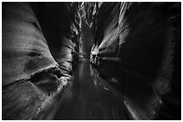 Narrow squeeze, Das Boot Canyon. Zion National Park ( black and white)