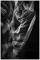 Tight and sculptured section of Upper Left Fork slot canyon. Zion National Park ( black and white)