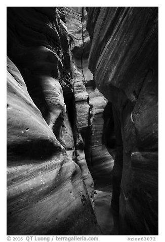 Tight squeeze, Upper Left Fork (Das Boot). Zion National Park (black and white)