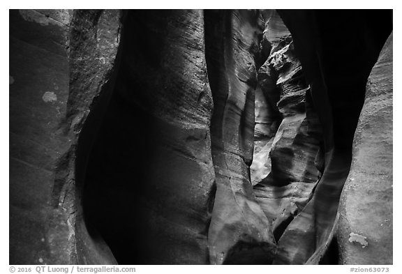 Tight slot canyon, Upper Left Fork (Das Boot). Zion National Park (black and white)