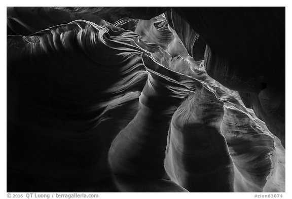 Looking up slot canyon, Upper Left Fork (Das Boot). Zion National Park (black and white)