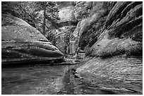 Emerald stream and lush vegetation along Left Fork. Zion National Park ( black and white)