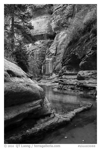 Emerald waters and canyon walls along Left Fork. Zion National Park (black and white)