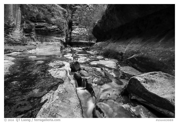 Stream funelling in tight watercourse, Left Fork. Zion National Park (black and white)
