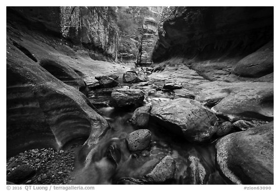 Cascades and boulders, Left Fork. Zion National Park (black and white)