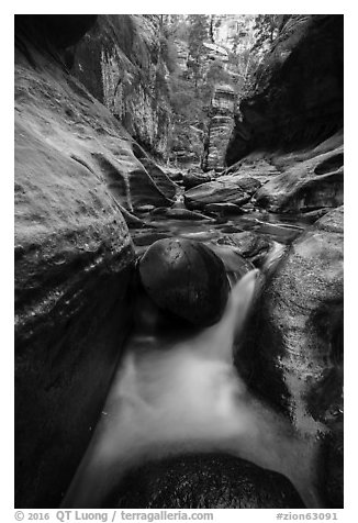 Cascades around boulders, Left Fork. Zion National Park (black and white)