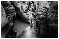 Golden reflections in tight passageway, Left Fork. Zion National Park ( black and white)