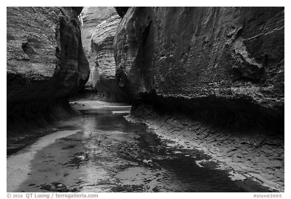 Left Fork flows in Upper Subway. Zion National Park (black and white)