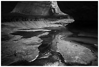 Upper Subway (Left Fork). Zion National Park ( black and white)