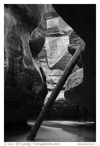 North Pole log in the Upper Subway. Zion National Park (black and white)