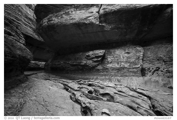 Upper Subway. Zion National Park (black and white)