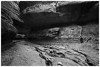 Upper Subway. Zion National Park ( black and white)