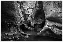 Pools and sculptured walls, Subway. Zion National Park ( black and white)