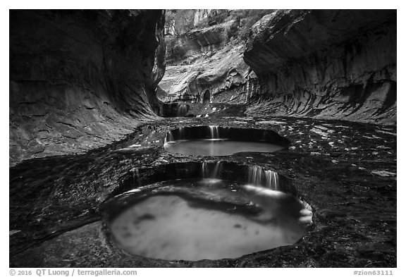 Left Fork flowing over pools, the Subway. Zion National Park (black and white)