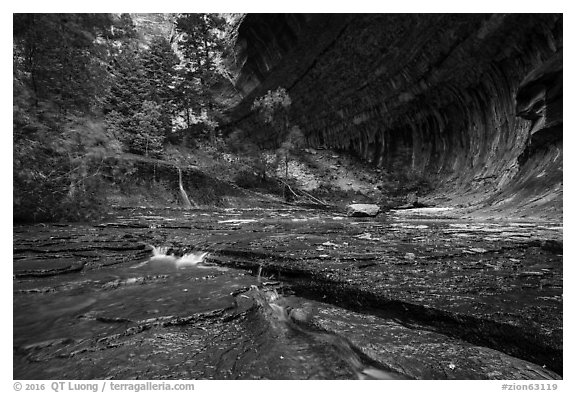Red travertine terraces and alcove in the spring. Zion National Park (black and white)