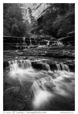 Left Fork flowing over travertine terraces in the spring. Zion National Park (black and white)