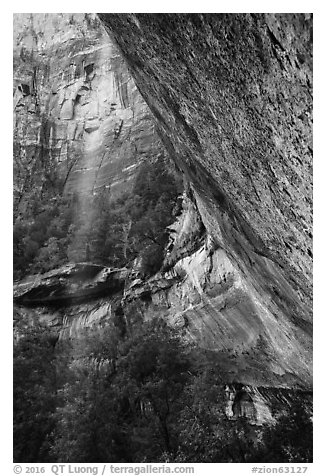 Water trickle and alcove above Emerald Pool in the spring. Zion National Park (black and white)