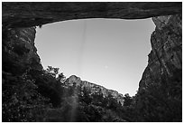 View from beneath alcove with water trickle, dusk. Zion National Park ( black and white)