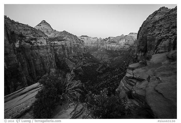 Canyon Overlook, dawn. Zion National Park (black and white)