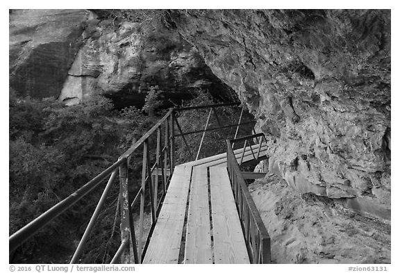 Boardwalk bridge, Canyon Overlook Trail. Zion National Park (black and white)