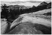 Stream flowing over slickrock, Russell Gulch. Zion National Park ( black and white)