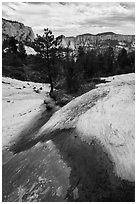 Russell Gulch stream. Zion National Park ( black and white)