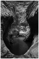 Water-filled pothole, Upper Left Fork. Zion National Park ( black and white)