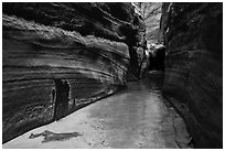 Narrow passageway, Upper Left Fork. Zion National Park ( black and white)