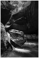 Double waterfall, Upper Subway. Zion National Park ( black and white)