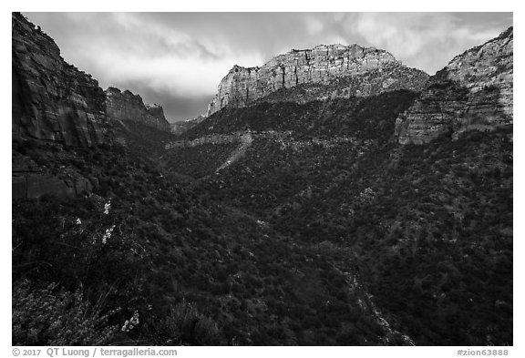 South Guardian Angel towering above Lower Left Fork. Zion National Park (black and white)