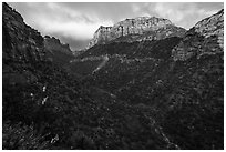 South Guardian Angel towering above Lower Left Fork. Zion National Park ( black and white)