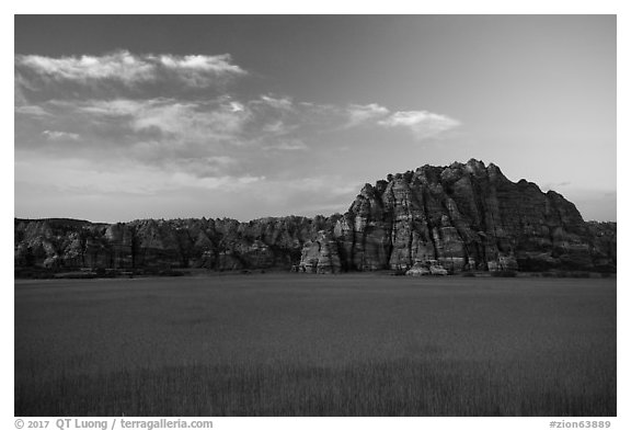 Pinnacles rising above plateau with high grasses, Kolob Terraces. Zion National Park (black and white)