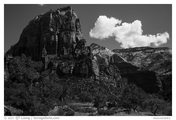 Angels Landing from Angels Landing Trail. Zion National Park (black and white)