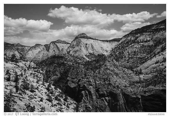 White cliffs on West Rim. Zion National Park (black and white)