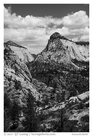 View from West Rim Trail. Zion National Park (black and white)