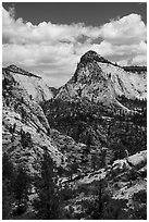 View from West Rim Trail. Zion National Park ( black and white)