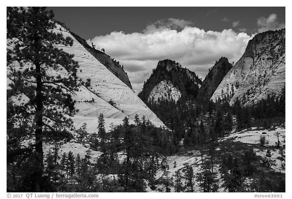 White domes and shadows, West Rim. Zion National Park (black and white)