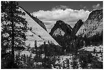 White domes and shadows, West Rim. Zion National Park ( black and white)