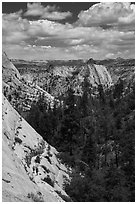 Hikers descend West Rim Trail. Zion National Park ( black and white)