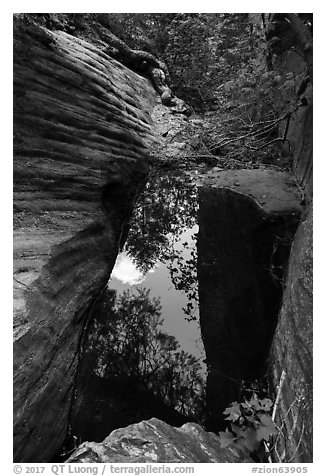 Pool, Upper Behunin Canyon. Zion National Park (black and white)