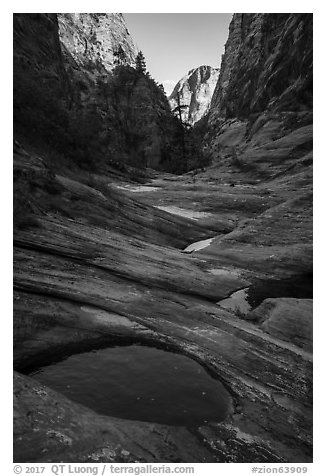 Water-filled potholes, Behunin Canyon. Zion National Park (black and white)