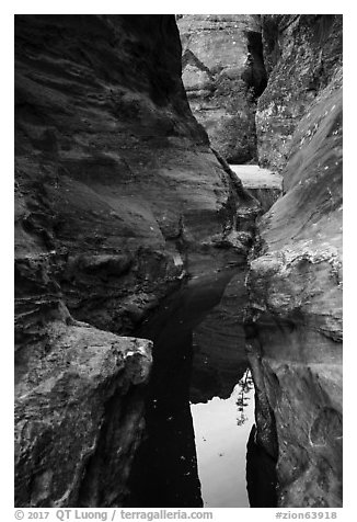 Reflections in narrows, Behunin Canyon. Zion National Park (black and white)